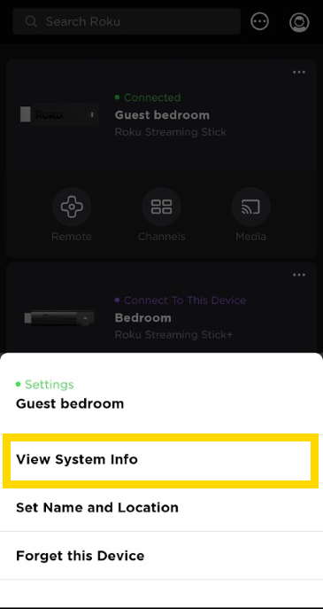 Roku App View System Info Option