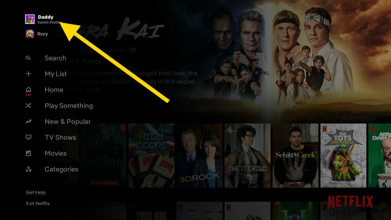 Netflix Roku Select Profile