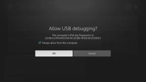 How to Connect to Firestick Using ADB