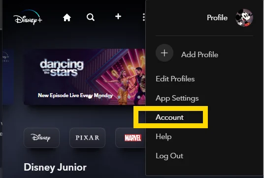 Disney Plus Account Option